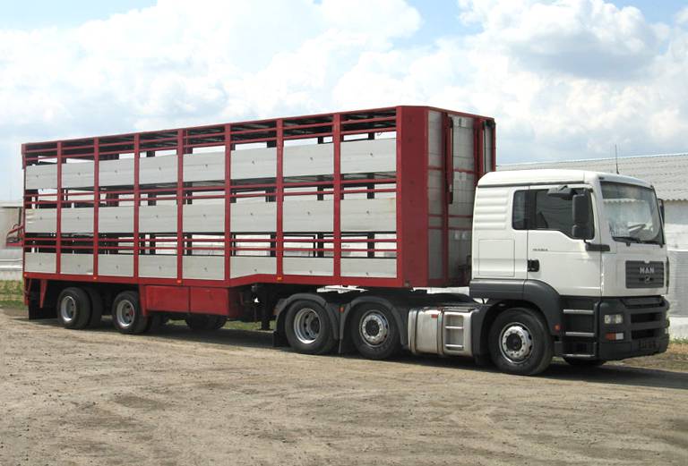 Прицеп для перевозки крупного рогатого скота из Барнаула в Иваново