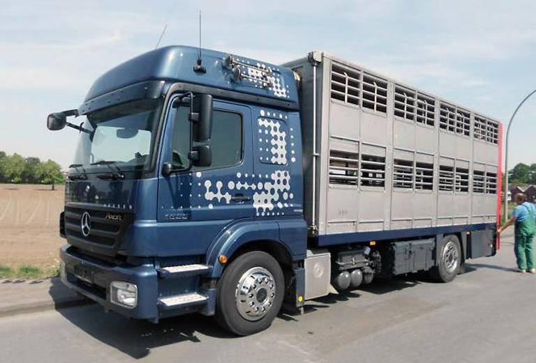 Доставка лошадей автотранспортом из Казахстан, Актау в Азербайджан, Баку